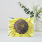 Carte postale Sunflower jaune (Debout devant)