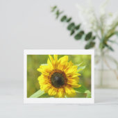 Carte postale Sunflower jaune (Debout devant)