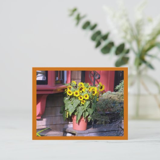 Carte postale Sunflower Pot (Debout devant)