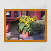 Carte postale Sunflower Pot (Devant)