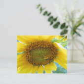 Carte Postale Sunflower Summer Series (Debout devant)