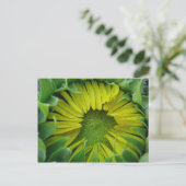 Carte Postale Sunflower Summer Series (Debout devant)