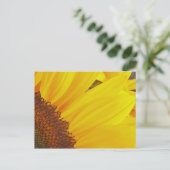 Carte postale Sunflower Sun (Debout devant)