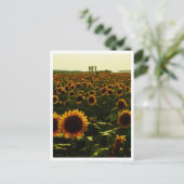 Carte Postale Sunflower Sunset, Sakura City, Japon (Debout devant)