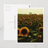 Carte Postale Sunflower Sunset, Sakura City, Japon (Devant / Derrière)