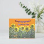 Carte Postale Sunflowers Congratulations Cust. Text Postcard (Debout devant)