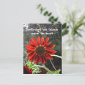 Carte Postale Sunflowers & Friends ! (Debout devant)