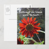 Carte Postale Sunflowers & Friends ! (Devant / Derrière)