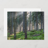 Carte Postale Sunfonctionnaires dans la Forêt Noire (Devant / Derrière)