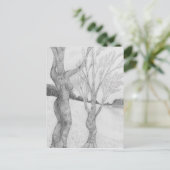 Carte postale SunGathering (Debout devant)