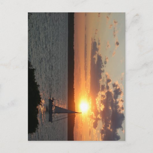 Carte Postale Sunkissed (Devant)