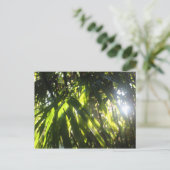 Carte Postale Sunlight (Debout devant)