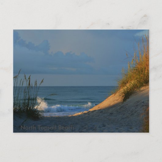 Carte Postale 'Sunlit' (Devant)