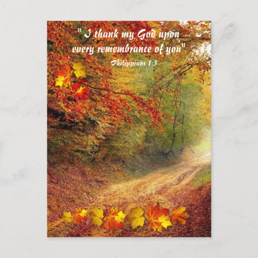 Carte Postale Sunlit Fall Pathway Christian Merci (Devant)