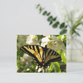 Carte Postale Sunlit Swallowtail sur Faux Orange (Debout devant)