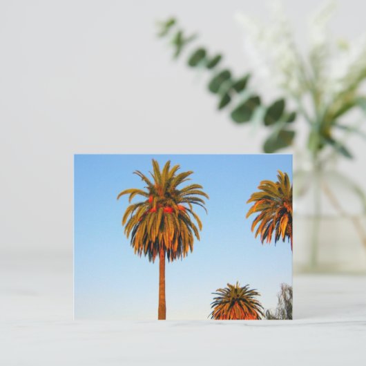 Carte postale Sunny California Palm Trees (Debout devant)