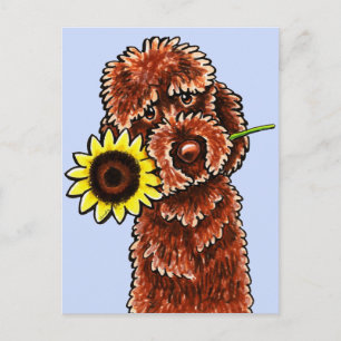 Carte Postale Sunny Chocolate Labradoodle Off-Leash Art™