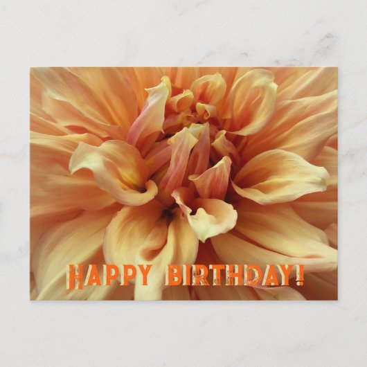 Carte postale Sunny Dahlia/Bonne fête d'anniversai (Devant)