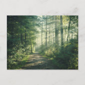 Carte Postale Sunny Octobre Matin à Hambourg (Devant)