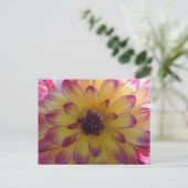 Carte Postale Sunny rose jaune Dahlia Fermer do-it-yourself cart (Debout devant)