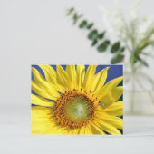 Carte postale Sunny Sunflower (Debout devant)