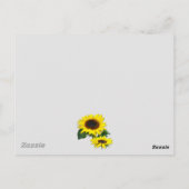 Carte postale Sunny Sunflower (Dos)