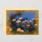 Carte postale Sunny Yellow Rose (Devant / Derrière)