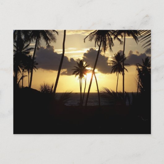 Carte postale Sunrise (Devant)