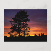 Carte postale Sunrise d'août