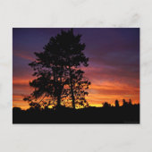 Carte postale Sunrise d'août (Devant)