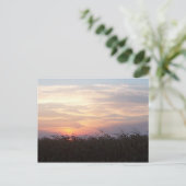 Carte Postale Sunrise d'août (Debout devant)