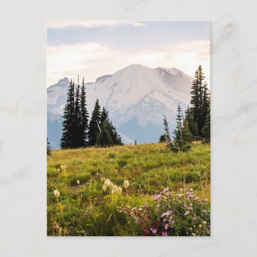 Carte Postale Sunrise Mt. Rainier Gifts (Devant)