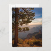 Carte Postale Sunrise North Rim (Devant / Derrière)