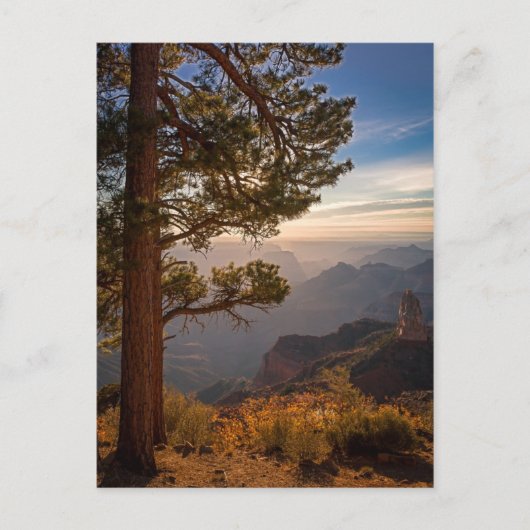 Carte Postale Sunrise North Rim (Devant)