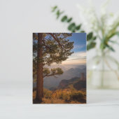 Carte Postale Sunrise North Rim (Debout devant)