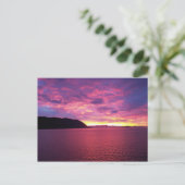 Carte postale Sunrise rose (Debout devant)