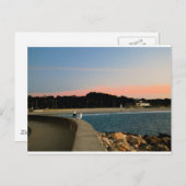 Carte postale Sunrise Seaguls (Devant / Derrière)