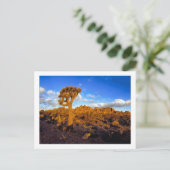 Carte Postale " Sunrise Sur Le Désert Vivant " (Debout devant)