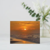 Carte postale Sunrise Topsail Beach (Debout devant)