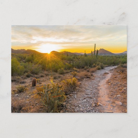 Carte Postale Sunrize Over Arizona Trail (Devant)
