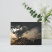 Carte postale Sunset (Debout devant)