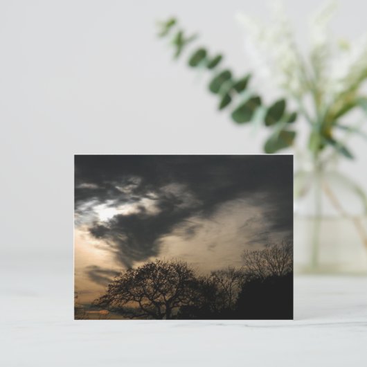 Carte postale Sunset (Debout devant)