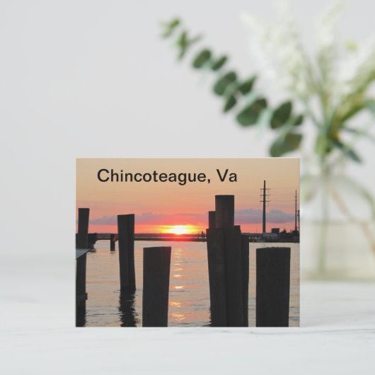 Carte postale Sunset (Debout devant)