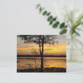 Carte postale Sunset 138 Floride (Debout devant)