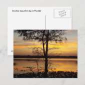 Carte postale Sunset 138 Floride (Devant / Derrière)