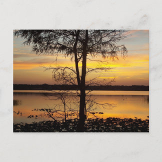 Carte postale Sunset 138 Floride
