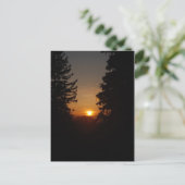 Carte postale Sunset 4/29/07 (Debout devant)