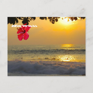 Carte Postale Sunset Aloha d'Hawaii