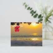 Carte Postale Sunset Aloha d'Hawaii (Debout devant)
