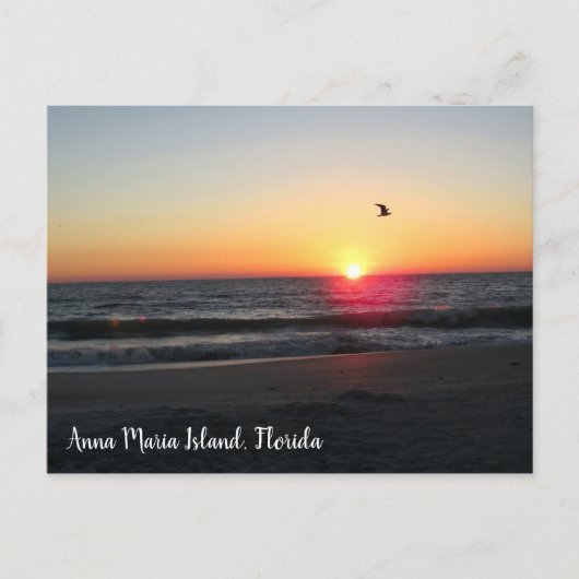 Carte Postale Sunset Anna Maria Island Floride Voyage (Devant)